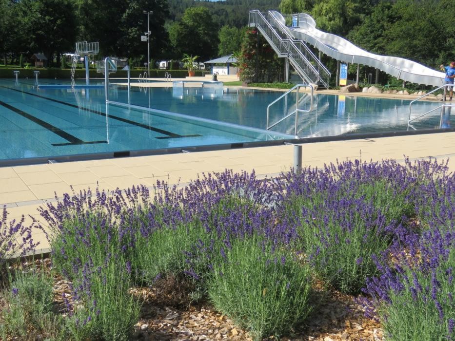 Familienbad Seelbach mit Bepflanzung, Becker und Rutsche
