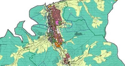 Ausschnitt aus dem Flächennutzungsplan Seelbach
