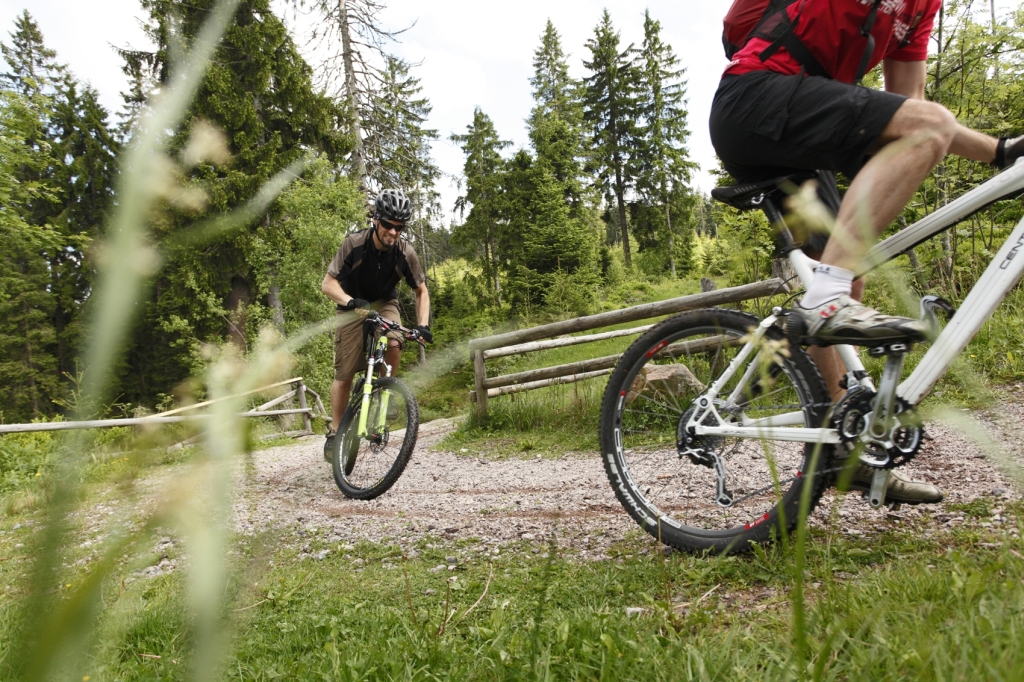 Mountainbiker fahren einen steinigen Weg hoch 