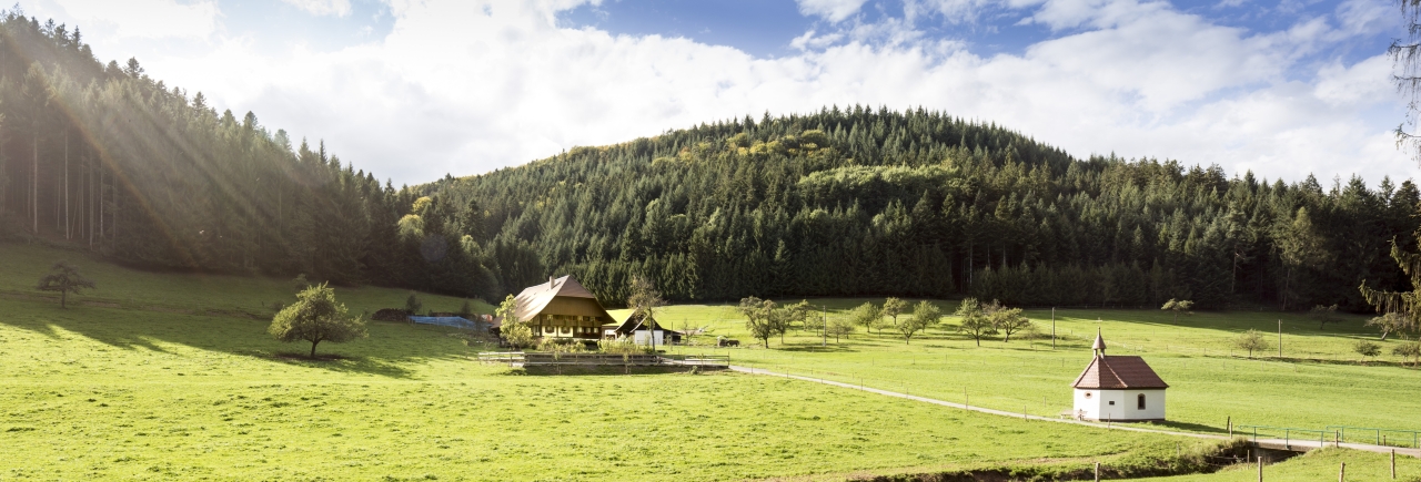 Kapelle im Litschental mit Hof