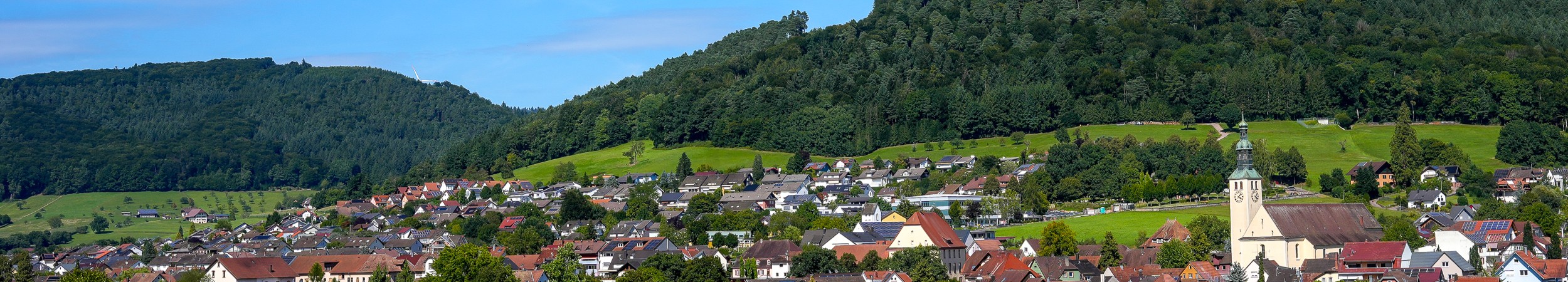 Ausschnitt aus einem Ortsbild von Seelbach