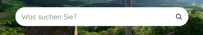 Screenshot: Suchfunktion