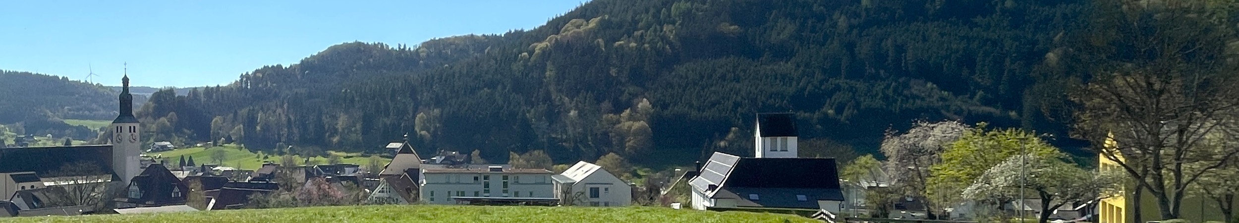 Ausschnitt aus einem Ortsbild von Seelbach
